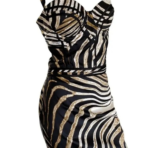 JUST CAVALLI Zebra Bustier Silk Dress XS - Picture 3 of 8